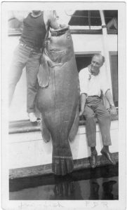 FDR in Key West with big fish
