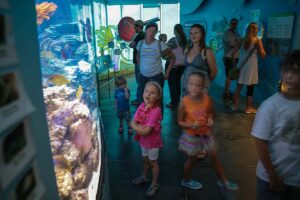 Know about Florida keys eco discovery center Key West