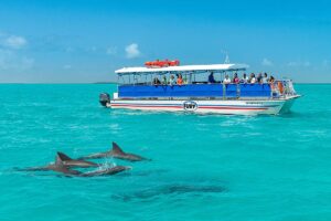 Explore Key West dolphin watch and snorkel cruise