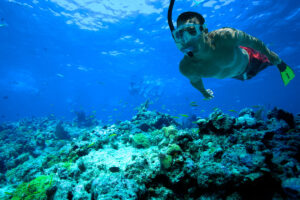 All you need to do to snorkel the reef in Key West